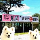 가평식당 - 248267 | 가평식당