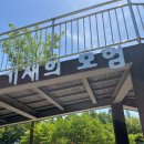 마포농수산물시장 3거리 홈플러스 입구 | 마포 평화의공원 모험놀이터 5월 아이와 주말나들이 후기 (주차·준비물 팁)