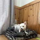 멋짱