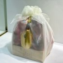 청담마리산부인과의원 이미지