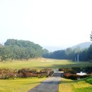 뉴코리아 이미지