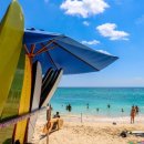 상남동294 이미지