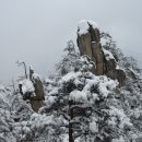 허튼소리 이미지