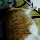 철이와 미애네 이미지