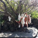 월평다라쿳당 이미지