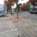 (주)해피코리아 이미지