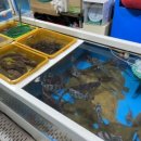 은진상회 이미지