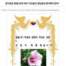 세모녀 자살..가계부채 1천조 시대..정부의 대출정책이 근본적인 대책일까? 이미지