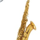 색소폰(중급) 이미지