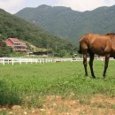 승마공원 이미지