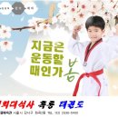 국가대표 경희대 키즈 태권도 이미지