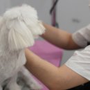 거북공원-2 이미지