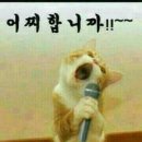 사뿐이