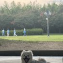 (주)시운 | 시운도래의 시작.