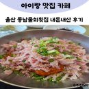동남횟집 - 강서구 신포길 11-3 | 울산동남물회횟집 여름 물회 맛집 내돈내산 솔직후기