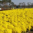 평택시 농업생태원1 이미지