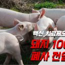 11590-다6 이미지