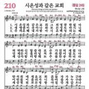 시온성 이미지