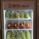싱싱노래주점
