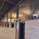 랩도그빌 이미지