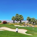 팜스프링스 이미지