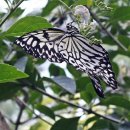 산호농장 이미지