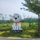 강아지놀이터 네이버블로그