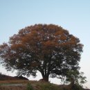 정희축산 이미지