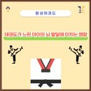 아이태권도 이미지