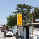 쇠금산(금음산) 티스토리