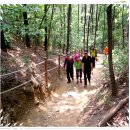 강감찬 동상 이미지