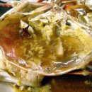 목포세발낙지 이미지