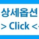 더웰렌터카