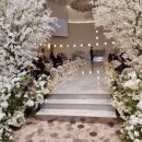 이베리스 | [웨딩일기] W5. 청주 메리다 웨딩컨벤션 투어 후기 - 이베리스홀 계약 결정한 이유