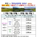 탑하나여행사