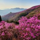 삼락 이미지