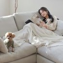 시월의고양이