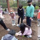 서울세명초등학교 이미지