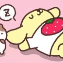 생활꿀템연구소
