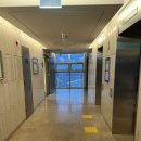 하이원콘도미니엄 | 하이원 힐콘도 힐그랜드디럭스 숙박 후기