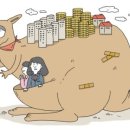 도리상조 이미지