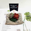 반려식물 원예아트 이미지