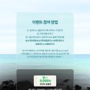 드보라 게스트하우스 | 제주 북토크 후기 l 채소 좋아하는 사람 모여라🥬