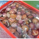 사촌상회 이미지