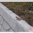 건들내민박 이미지