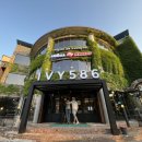 아이비586 이미지