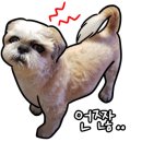 바비 애견샵 네이버블로그