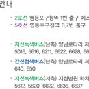 손인자 이미지