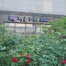 세종이음학교 앞 | 이음사주타로 세종타로 하반기 방향을 찾은 방문 후기