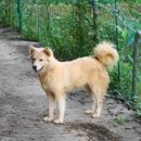 풍이농장 이미지